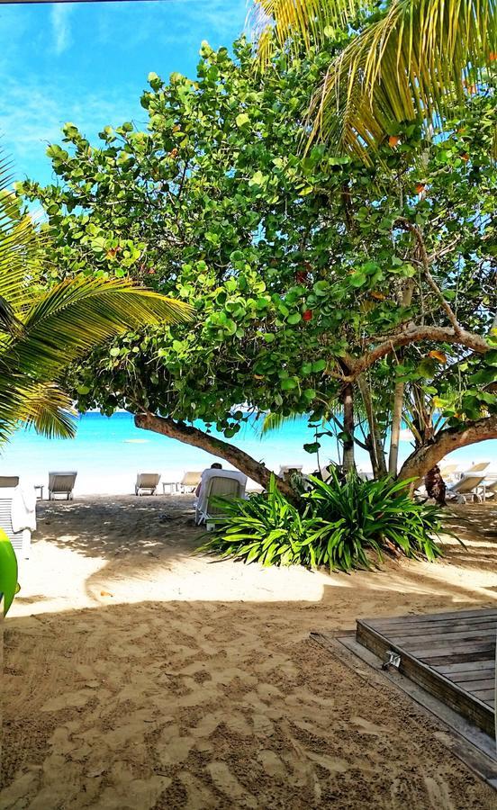 Hôtel Idle Awhile Beach à Negril Extérieur photo