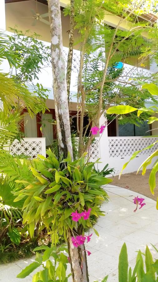 Hôtel Idle Awhile Beach à Negril Extérieur photo